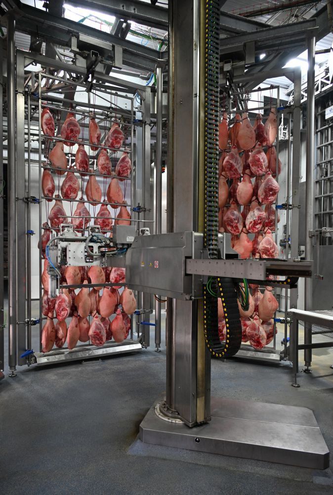 Plant for the seasoning of hams