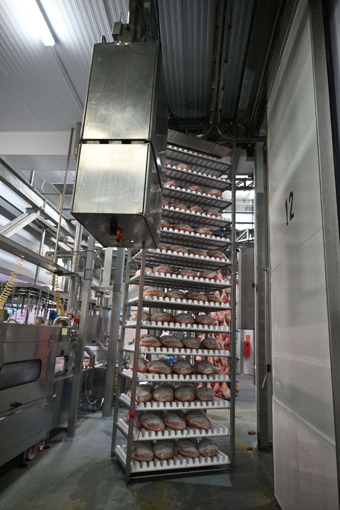 Plant for the seasoning of hams