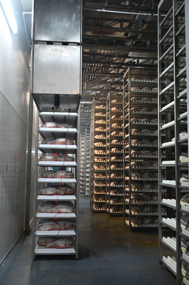 Impianti per la stagionatura dei prosciutti
